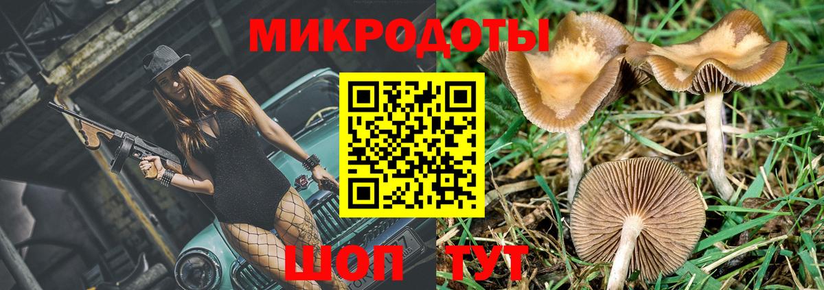 Псилоцибиновые грибы GOLDEN TEACHER  Псилоцибиновые грибы Psilocybine cubensis  Ногинск  Вход с VPN 