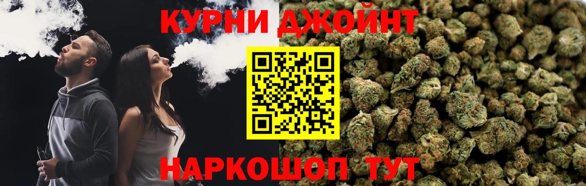Каннабис план Ногинск